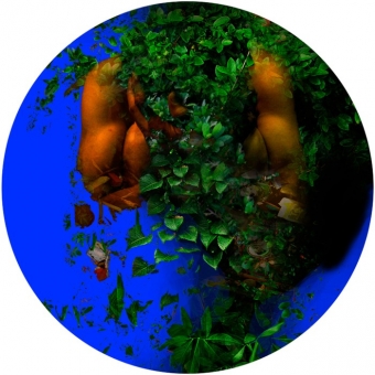 Serie Chromatique –Nature –Terras - Aquas–18